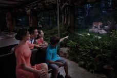 夜间野生动物园-新加坡-AIian