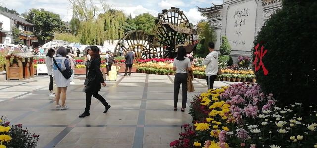 世界记忆遗产公园旅行图片 2