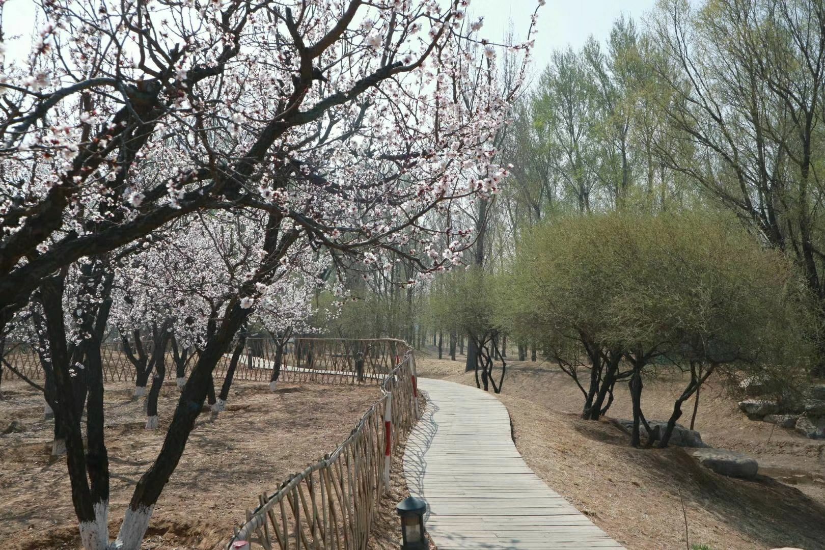潇河湿地公园A区