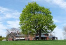 Shelburne Farms景点图片