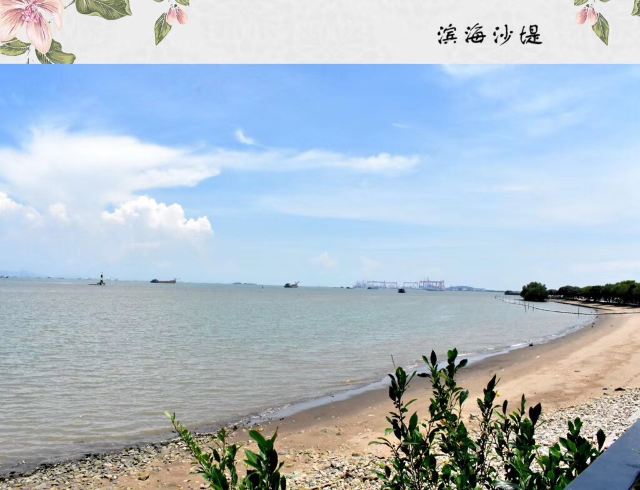 南沙