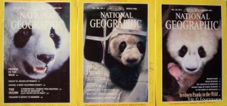Panda Chinese Restaurant Travel Guidebook Must Visit Attractions