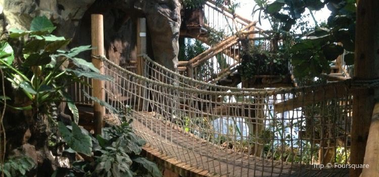 Haus Des Meeres Aqua Terra Zoo Travel Guidebook Must Visit