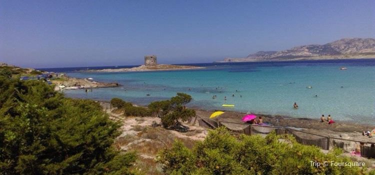 Spiaggia Della Pelosetta Tickets Deals Reviews Family