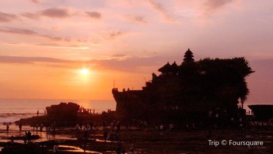 Bali Surf Guide