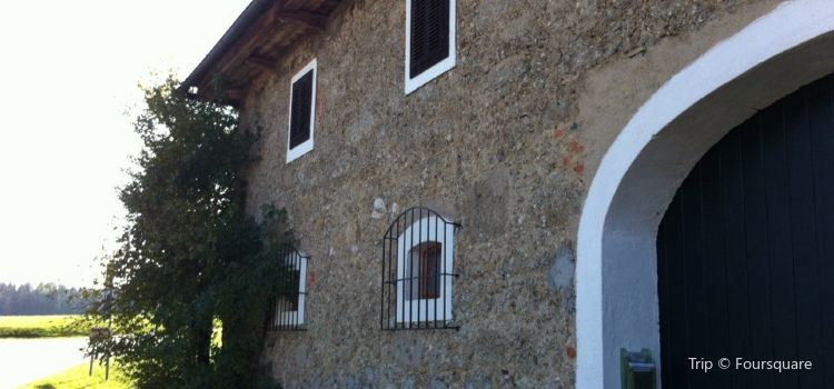 Thomas Bernhard Haus Travel Guidebook Must Visit Attractions In