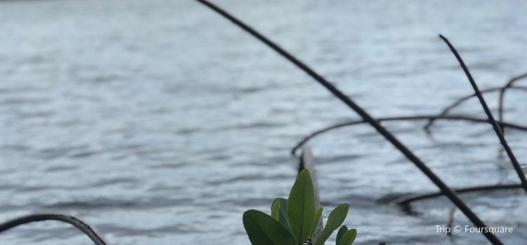 Moli I Gardens Tickets Deals Reviews Family Holidays Trip Com