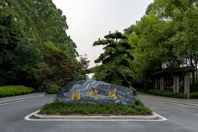 의희반죽림
