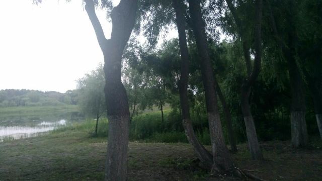 东湖公园旅行图片 4