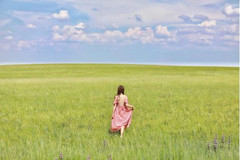 西乌旗游记图片] 锡林郭勒，72小时寻觅草原之路