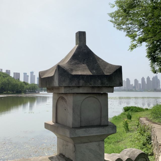 琴台小森林旅行图片 2