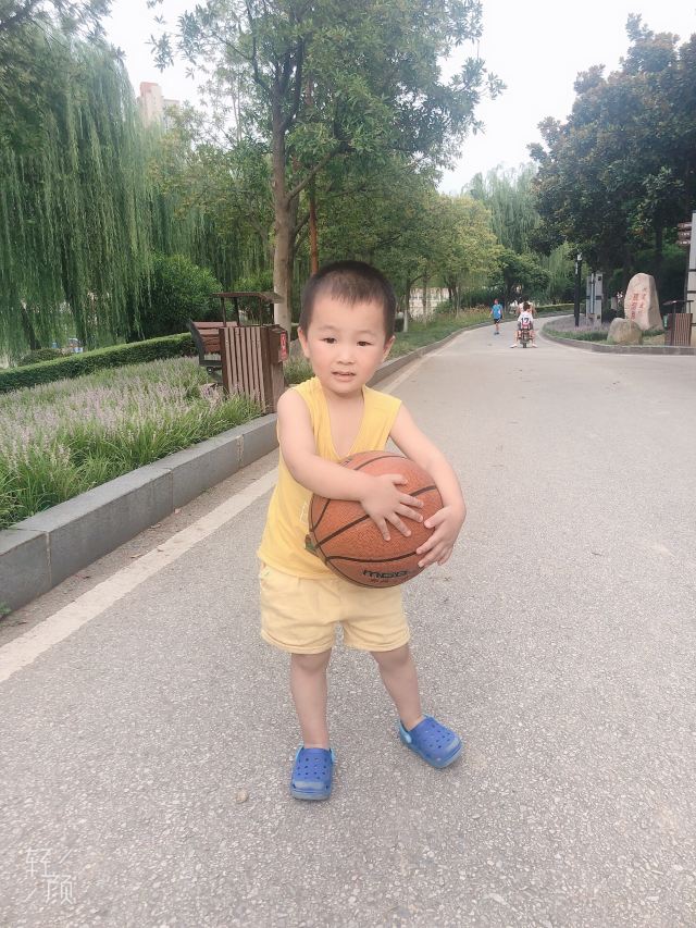 后襄河公园旅行图片 3