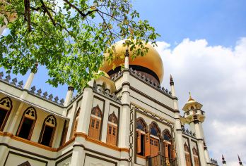 鱼尾狮+福康宁+赞美广场+哈芝巷+小印度【月销100+】【体验当地深度游览，不再千篇一律 时间自由搭配组合想怎么游你说了算！！ 当地中英文司机】