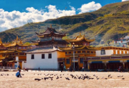 隆务寺景点图片