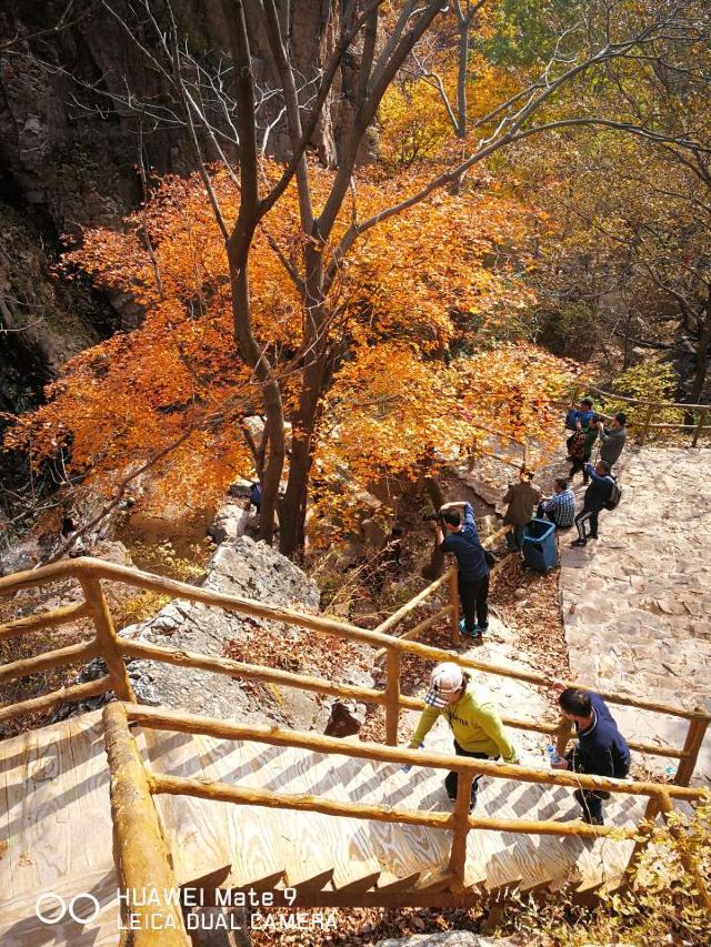 核伙沟森林公园旅行图片 3