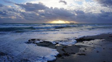 the west coast t shirt north face