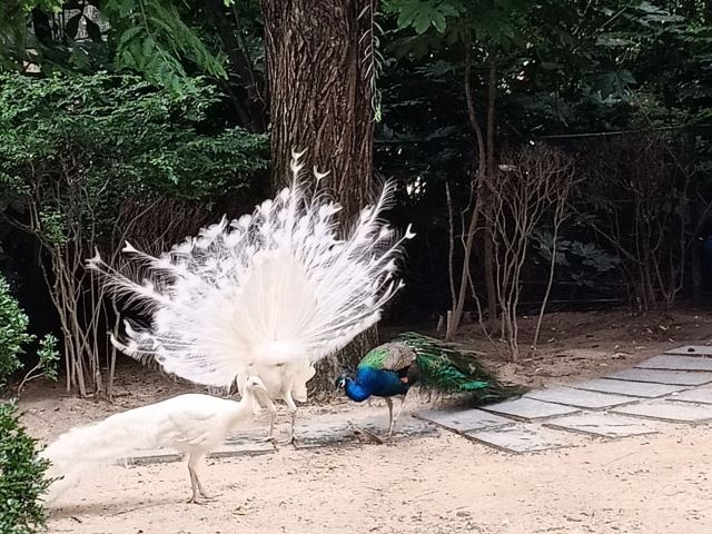 Shanghai Wild Animal Park