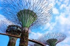 新加坡滨海湾花园-新加坡-行旅他乡