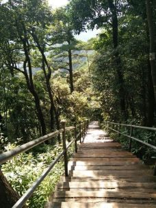莽山国家森林公园-宜章-M38****3023