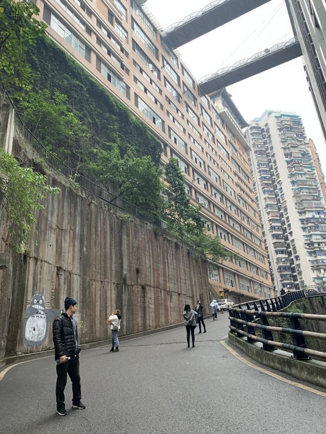 魁星楼旅行图片 2