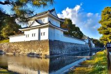 京都御所-京都-翱翔的大鲨鱼