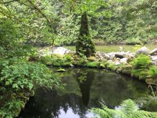 本那比山公园-本那比-DEAR张小球