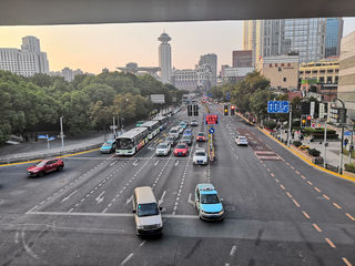 大宝的公主梦，我的魔都梦