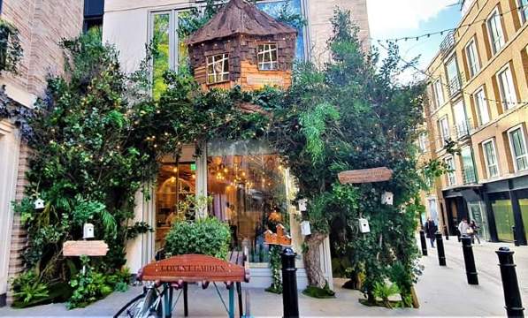 The Treehouse餐厅图片