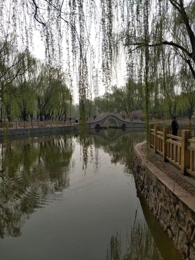 兴隆公园旅行图片 3