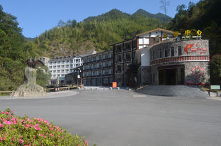 泰顺乌岩岭森林公园