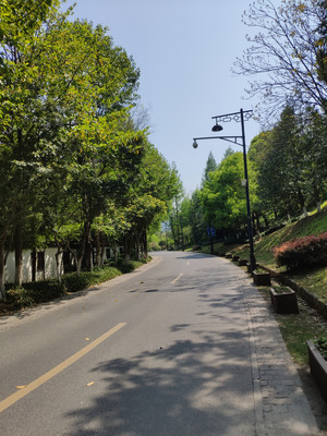 湘湖渔村,我爱上这里啦!