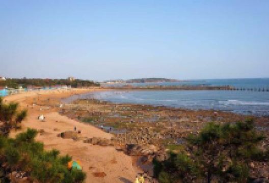 锯头海水浴场景点图片