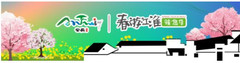 旌德游记图片] 春游江淮请您来丨春游宣城 最值得尝试的3间竹林民宿等你来！