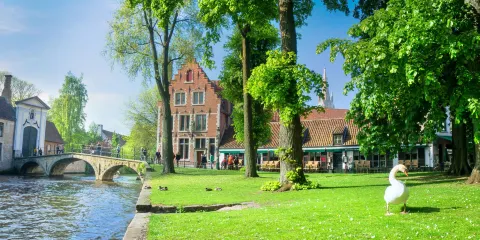 葡萄園皇家貝居安會院