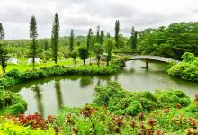东南植物乐园景点图片