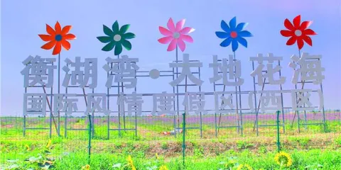 衡湖灣大地花海