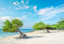 棕榈滩景点图片