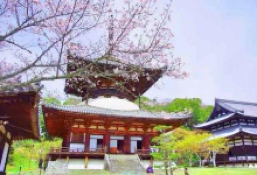 根来寺景点图片