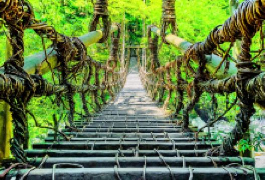 祖谷葛藤桥景点图片
