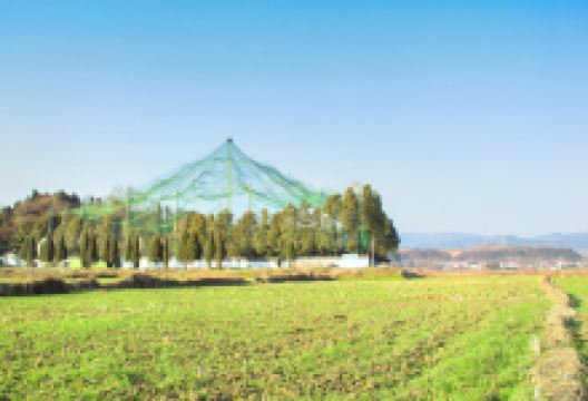 汉中洋县朱鹮自然保护区景点图片