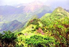 岑溪旅游图片-岑溪自然观光1日游