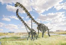 二连盆地白垩纪恐龙国家地质公园景点图片
