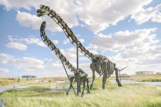 二连盆地白垩纪恐龙国家地质公园-二连浩特-尊敬的会员