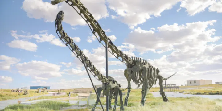 二連浩特國家地質公園