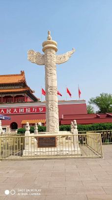 天安门城楼-北京-老鹰在飞翔