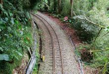 杉林木栈道景点图片