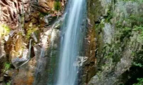 桃花沖森林公園