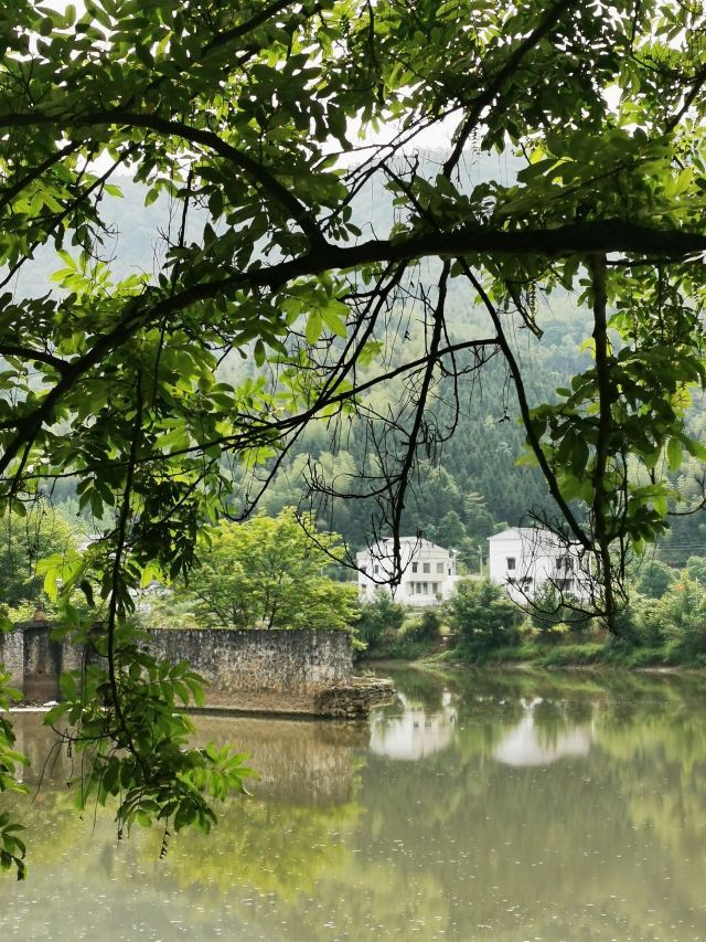 西河沙滩公园旅行图片 9