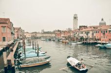 威尼斯-翱翔的大鲨鱼