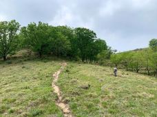 野三坡百草畔景区-涞水-老鹰在飞翔
